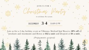 christmas party 2024